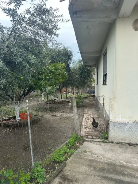 Durres, shitet shtepi 2 Katshe , 220 m² 145.000 € (Rruga Vath Turja)