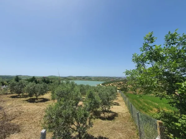 Durres, shitet truall , 