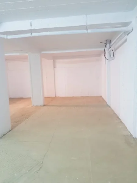 Tirane, jepet me qera magazine Kati 0, 120 m² 300 € (ALI DEMI)