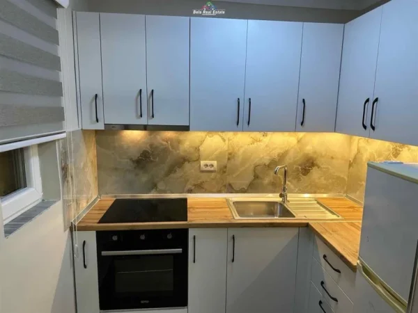 Tirane, jepet me qera apartament 1+1+Ballkon Kati 5, 60 m² 600 € (shkolla e baletit)