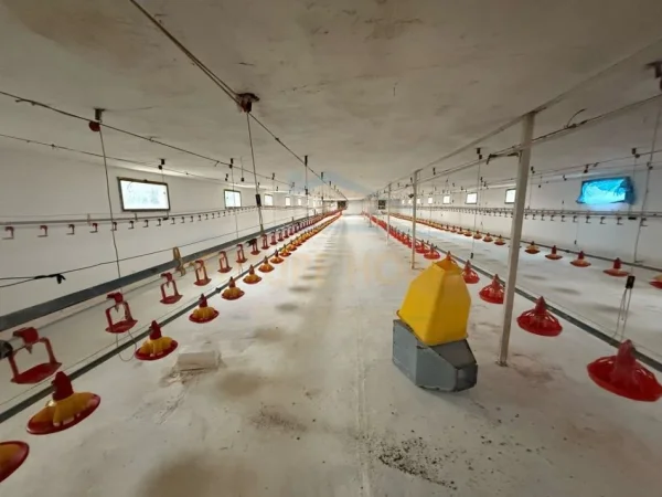 Korce, shitet , 210.000 € (Korçë - Pogradec.)