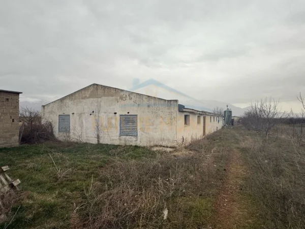 Korce, shitet , 210.000 € (Korçë - Pogradec.)