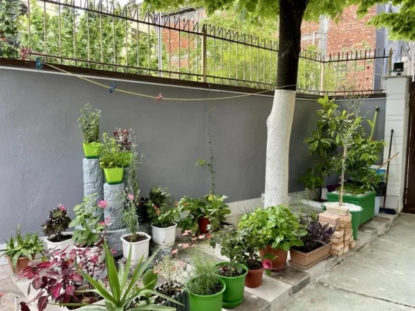 Tirane, shitet shtepi 2+1+Aneks+Ballkon Kati 1, 200 m² 149.000 € (Niko Avrami afer shkolles Barjam Curri)