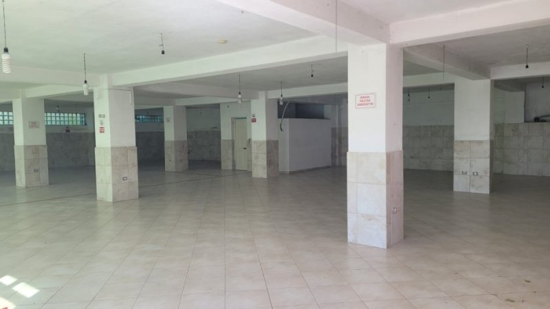Tirane, jepet me qera ambjent biznesi Kati 0, 400 m² 1.600 € (Rr. Sterio Spase)
