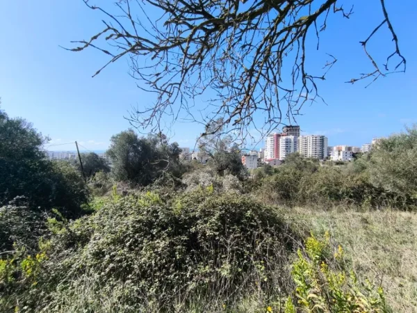 Golem, shitet toke , 250 m² (golem)