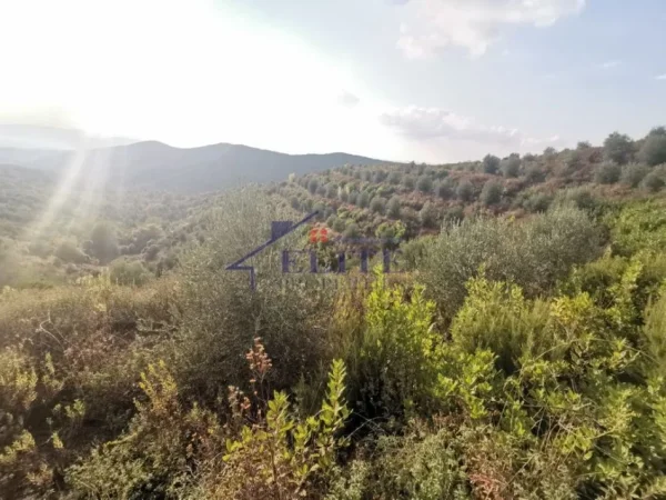 Tirane, shitet toke , 42.000 m² 140.000 € (Zall Herr)