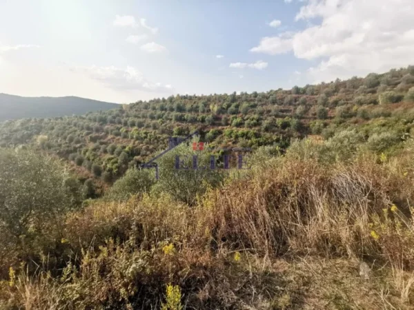 Tirane, shitet toke , 42.000 m² 140.000 € (Zall Herr)