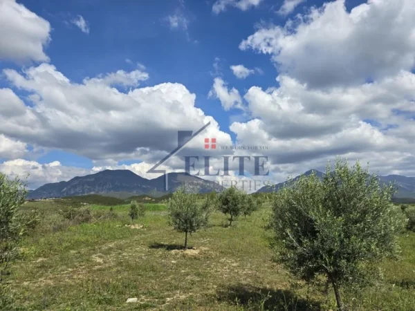 Tirane, shitet toke , 9.600 m² 336.000 € (Zall Herr)