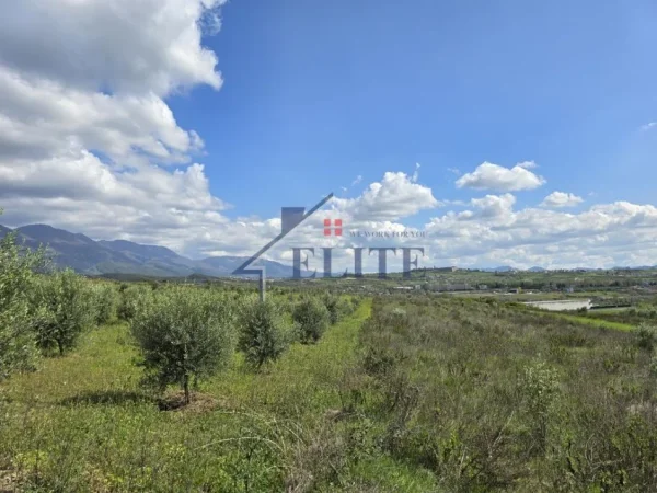 Tirane, shitet toke , 9.600 m² 336.000 € (Zall Herr)