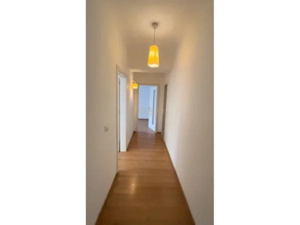 Tirane, jepet me qera zyre Kati 1, 106 m² 800 € (petro nin)