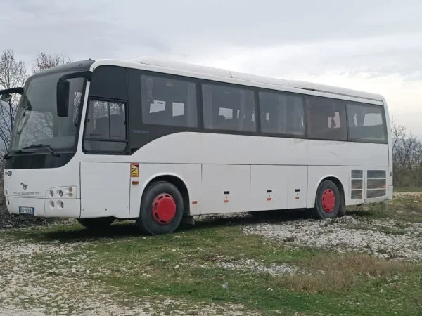 Tirane, shitet Autobuz 50+1 vende, Temsa Safari Nafte, e bardhë manuale Kondicioner