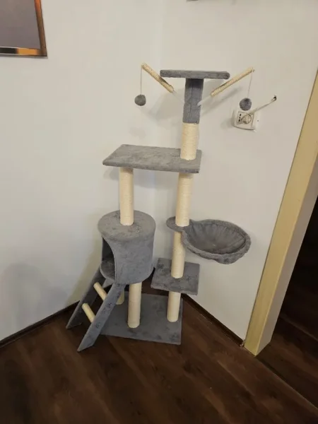 Tirane, Shes shtepi dhe loje per mace 65€