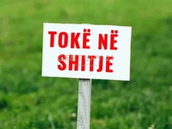 Shqiperi, shitet toke , 1.000 m² (shengjin)