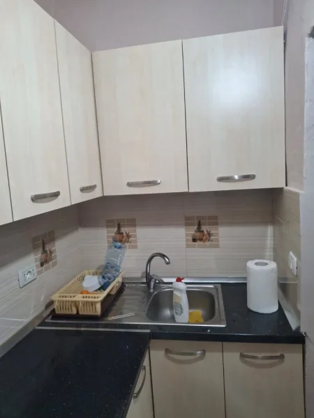 Tirane, jepet me qera apartament 1+1 Kati 1, 400 € (Rruga e dibres)