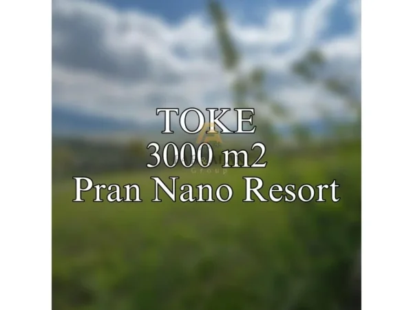 Tirane, shitet toke , 3.000 m² 300.000 € (GURRE E MADHE)
