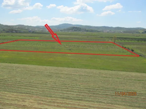 Peqin, Shitet Toke Are, siperfaqe 10.400 m², Cmimi fillestar 4,284,000 Lekë