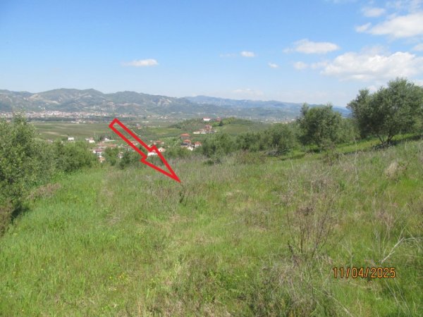 Peqin, Shitet Toke Are, siperfaqe 7,700 m², Cmimi fillestar 1,411,200 Lekë