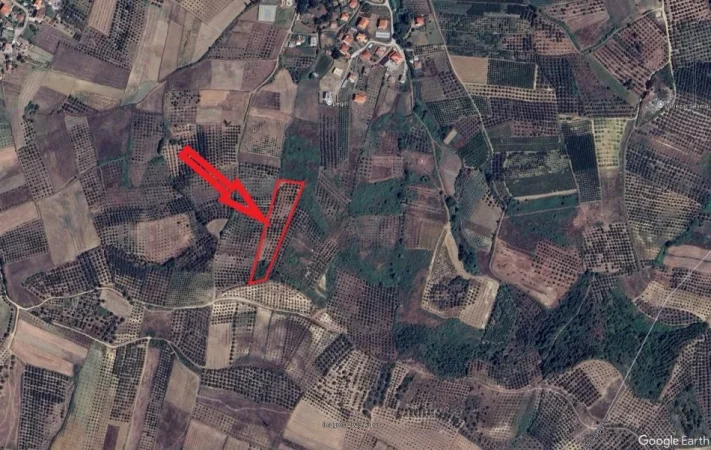 Peqin, Shitet Toke Are, siperfaqe 7,700 m², Cmimi fillestar 1,411,200 Lekë