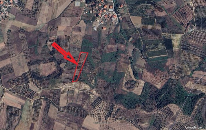 Peqin, Shitet Toke Are, siperfaqe 7,700 m², Cmimi fillestar 1,411,200 Lekë