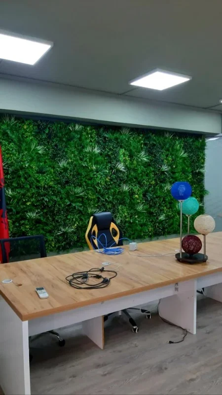 Tirane, jepet me qera ambjent biznesi , 290 m²