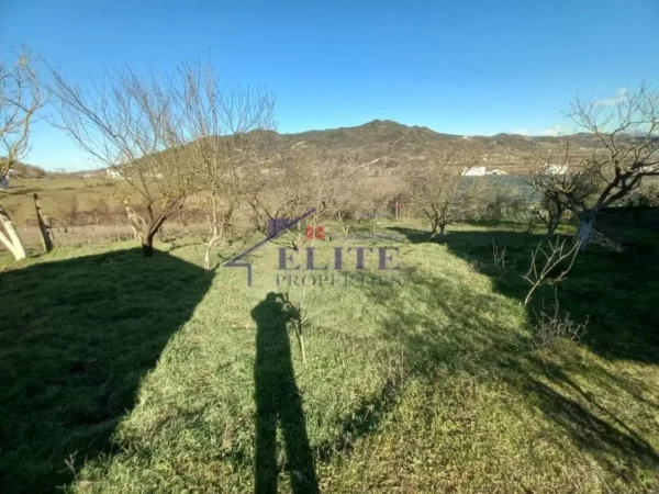 Tirane, shitet shtepi Kati 0, 96 m² 140.000 € (Peze)