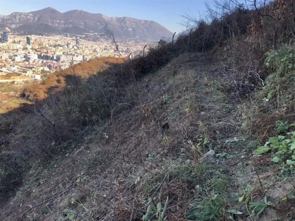 Tirane, shitet truall , 2.535 m² 490.000 € (KODRA E DIELLIT)
