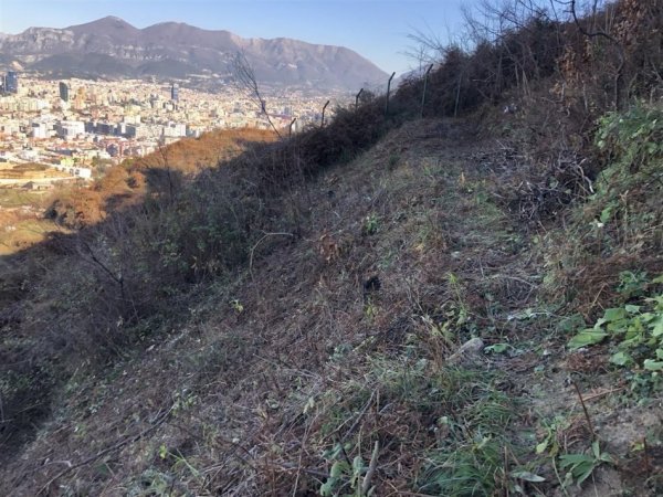 Tirane, shitet truall , 2.535 m² 490.000 € (KODRA E DIELLIT)