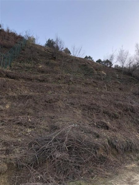 Tirane, shitet truall , 2.535 m² 490.000 € (KODRA E DIELLIT)