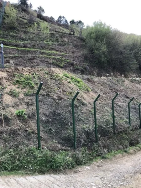 Tirane, shitet truall , 2.535 m² 490.000 € (KODRA E DIELLIT)