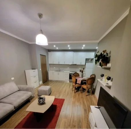Tirane, jepet me qera apartament 1+1+Ballkon Kati 11, 75 m² 650 € (Komuna e Parisit)