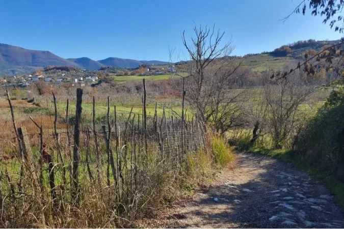 Tirane, shitet truall , 2.714 m² (Lunder)