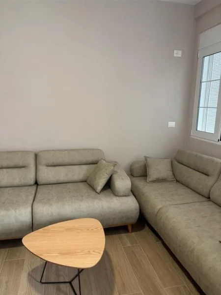 Tirane, jepet me qera apartament 1+1 Kati 1, 55 m² 350 € (YZBERISHT)