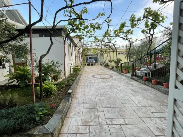 Tirane, jepet me qera apartament Kati 1, 65 m² 350 € 