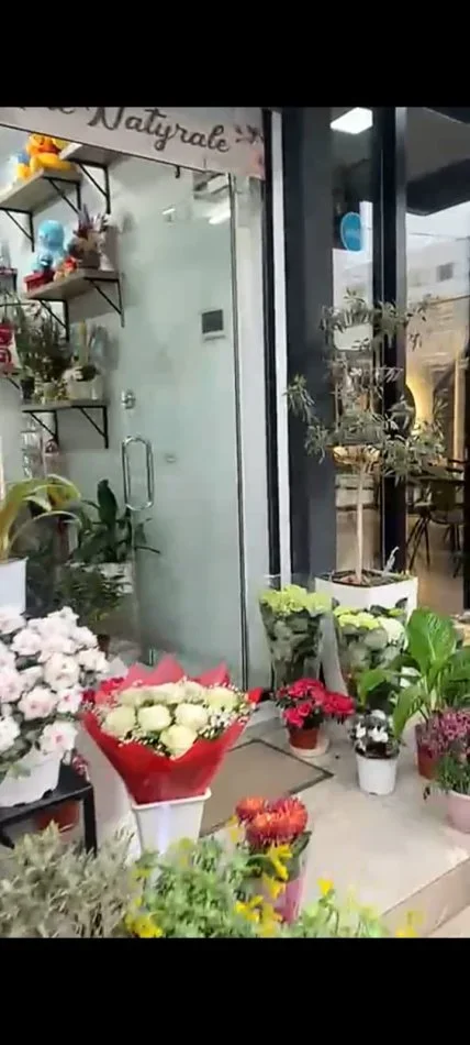 Tirane, shitet dyqan Kati 0, (Shitet Super Biznesi Dyqan Lulesh Prane konvikteve te inxhinierise , 21 Dhjetori.)