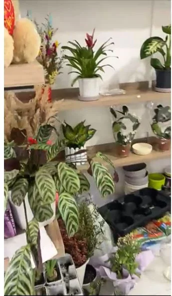 Tirane, shitet dyqan Kati 0, (Shitet Super Biznesi Dyqan Lulesh Prane konvikteve te inxhinierise , 21 Dhjetori.)