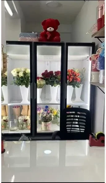 Tirane, shitet dyqan Kati 0, (Shitet Super Biznesi Dyqan Lulesh Prane konvikteve te inxhinierise , 21 Dhjetori.)