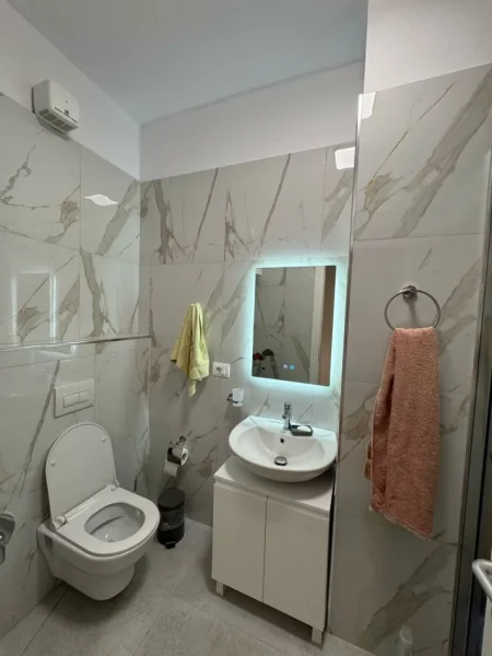 Tirane, jepet me qera apartament 2+1+Ballkon Kati 1, 650 € (Xhanfize keko)
