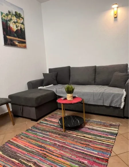 Tirane, jepet me qera apartament 1+1 Kati 2, 65 m² 450 € (5 Maj, prane Concord Center)