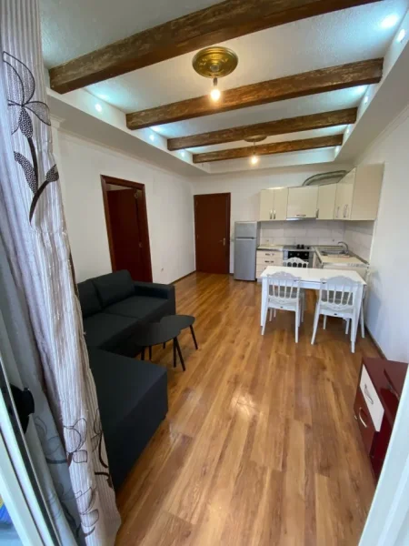 Tirane, jepet me qera 1+1 Kati 8, 60 m² 450 € (LONI LIGORI)