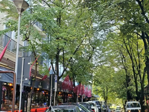 Tirane, shes ambjent biznesi , 293 m² 1.000.000 € (Liceu Artistik, Rruga Elbasanit)