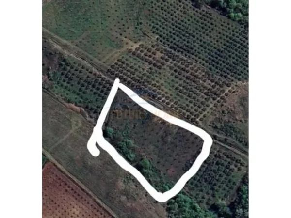 Durres, shitet truall , 17.750 m² 180.000 € (Kavaje)