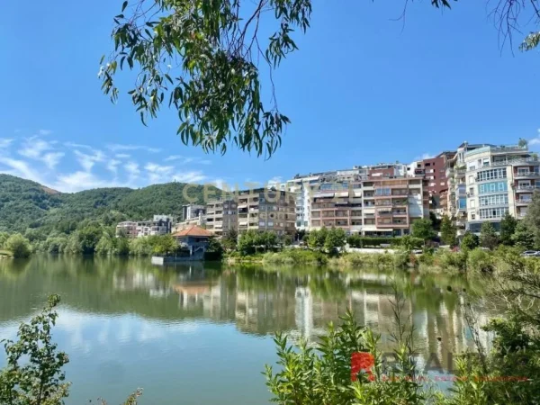 Tirane, shitet ambjent biznesi Kati 0, 60 m² 110.000 € (Liqeni i Thate)