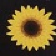 Lua flower