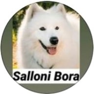 Sallon Bora Pets