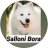 Sallon Bora Pets