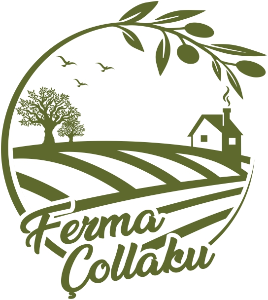 Ferma-Collaku.jpg